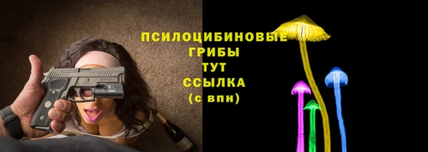 спайс Баксан