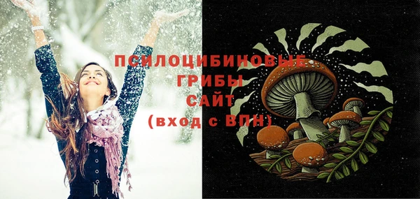 спайс Баксан