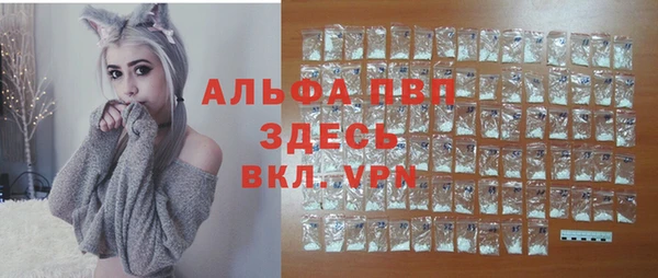спайс Баксан
